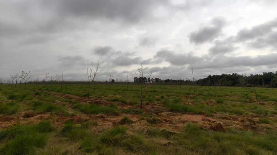 0 Bedroom Property for Sale in Koster North West